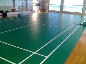 Sport linoleum flooring. 