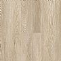 Magnitude Ardeche Oak 088